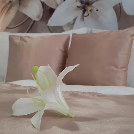 Napsugar Apartamento